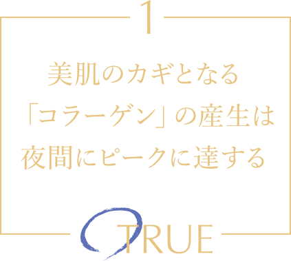 美肌のカギとなる「コラーゲン」の産生は夜間にピークに達する TRUE