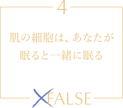 肌の細胞は、あなたが眠ると一緒に眠る FALSE